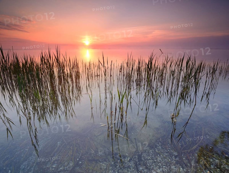 Sunrise at the Muritz