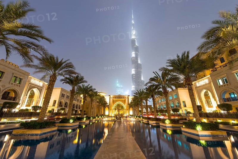 Palm trees and fountains