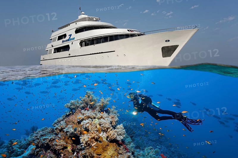 Above: liveaboard