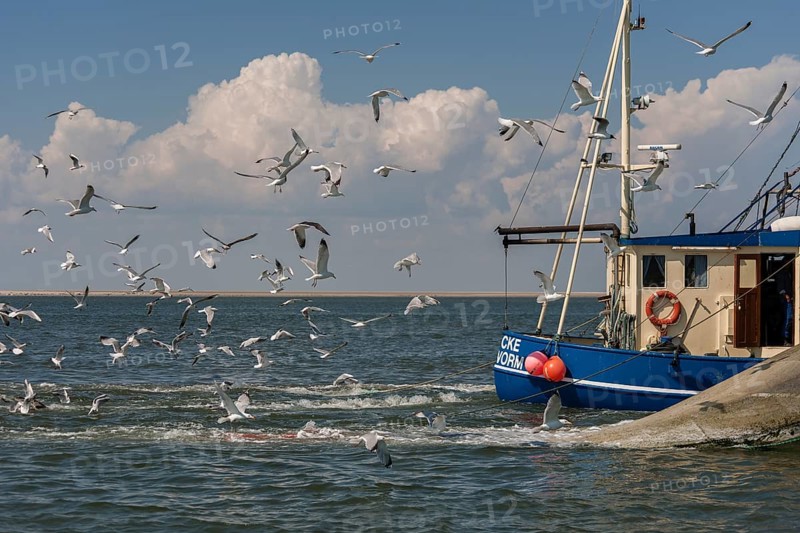 Fishcutter with casted nets at crabs catching