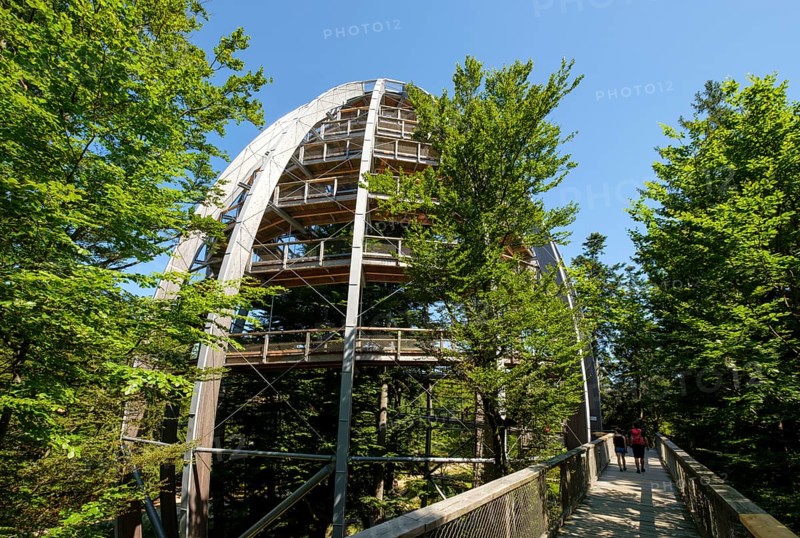 Tree tower