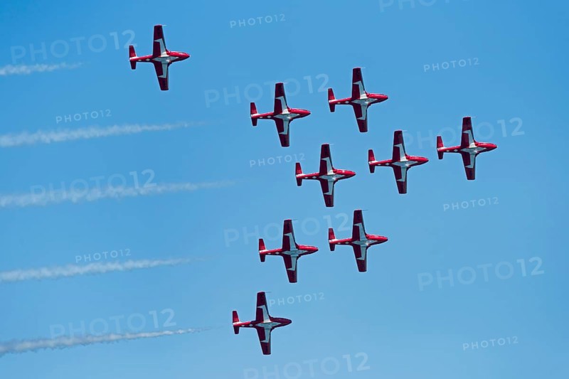 Canadian Armed Forces Snowbirds