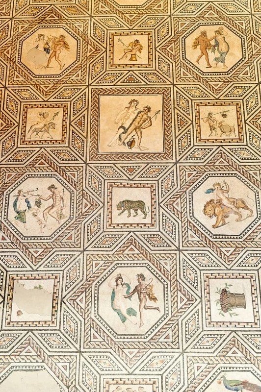 Roman Floor Mosaic