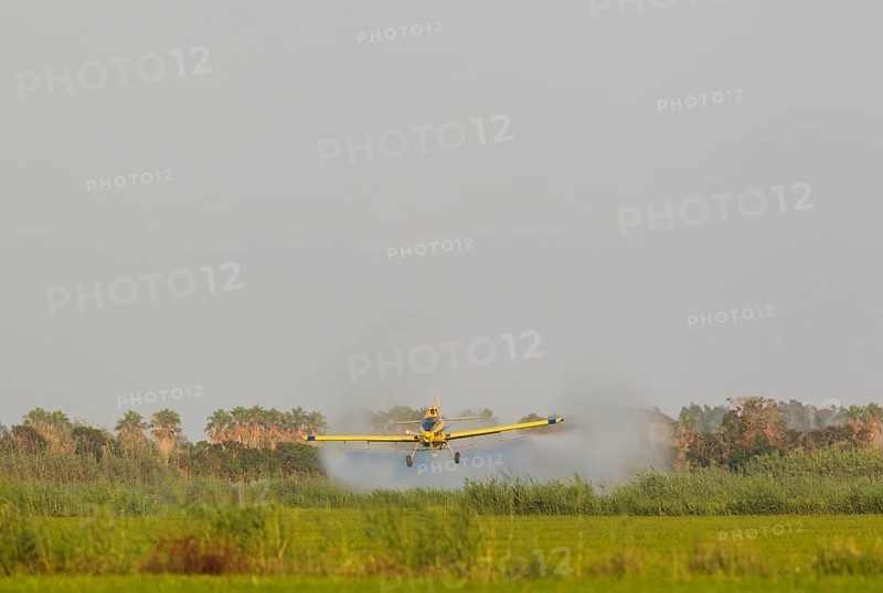 Crop duster plane flying low while spraying an anti mosquito substance onto the rice fields