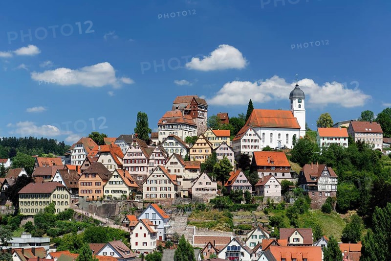 Cityscape with Castle Altensteig