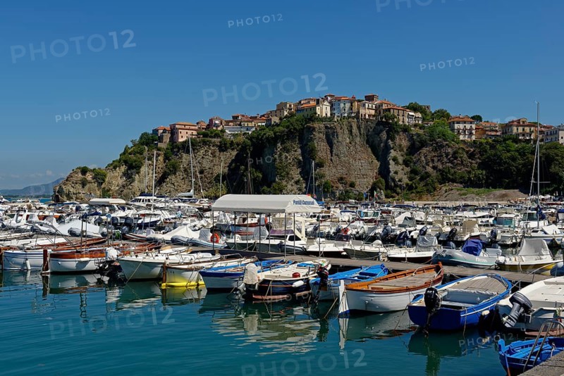 Boats in the harbour