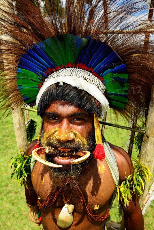 The highland tribes presenting themselves at the Sing Sing of Goroka