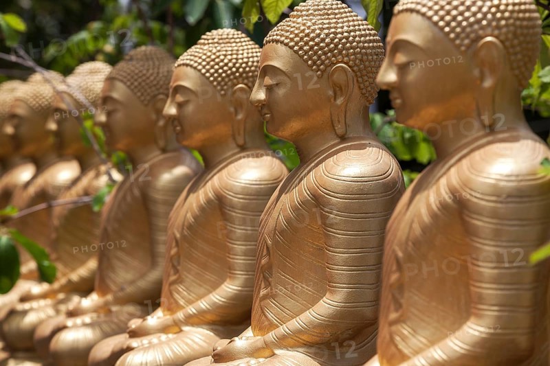 Golden Buddha statues