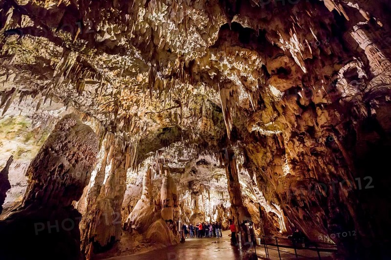 Caves of Postojna