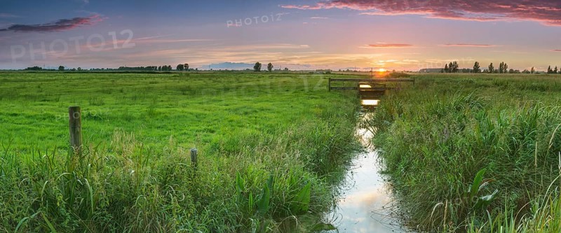 Irrigation ditch