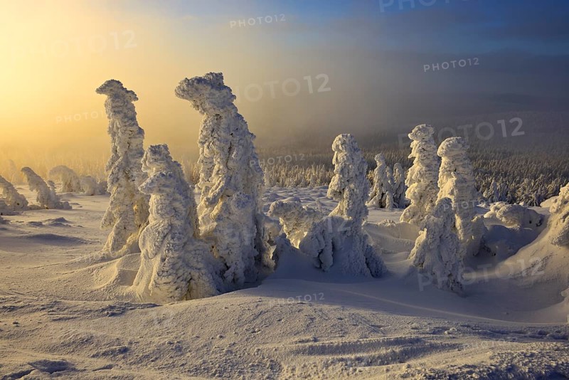 Morning atmosphere on the Brocken