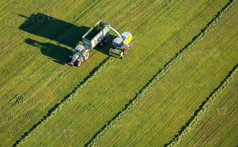Hay harvest with mower and tractor with trailer