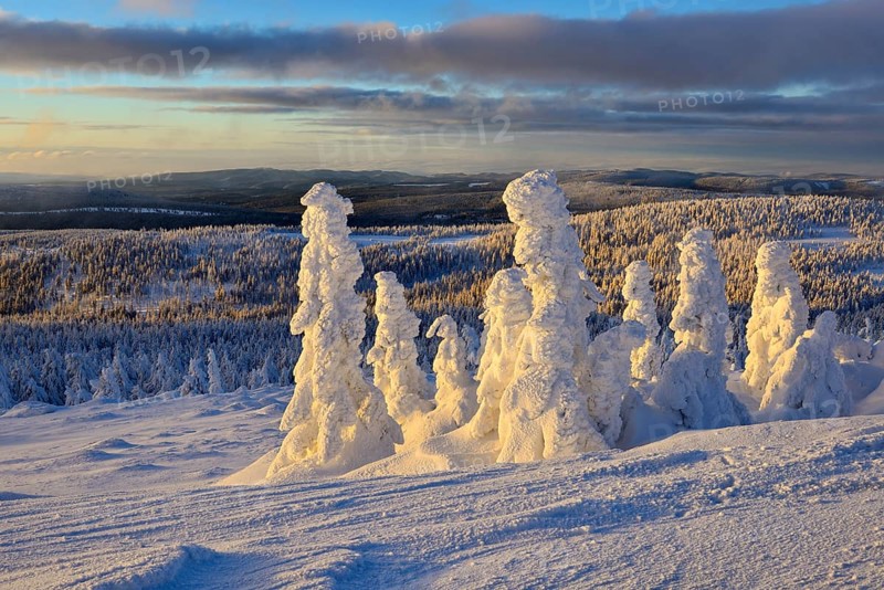 View from the Brocken on forests in winter