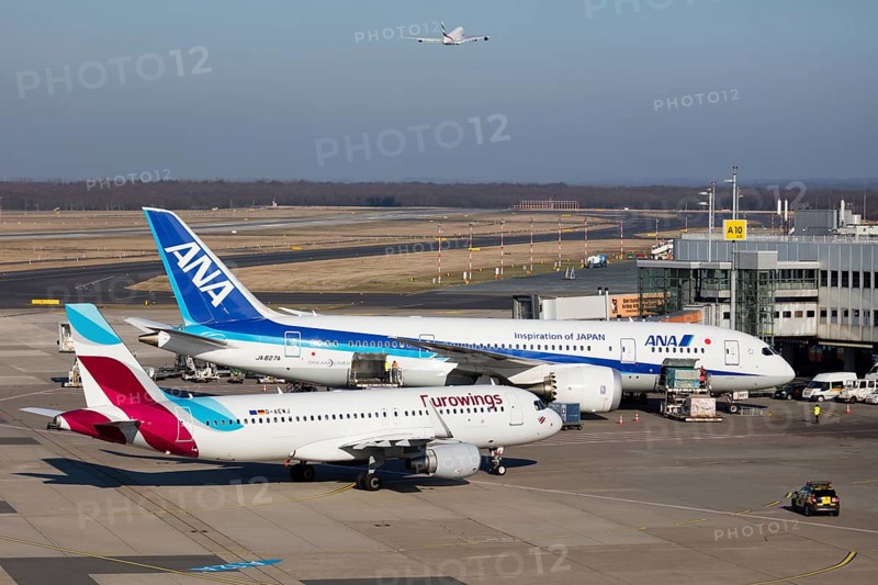 Aircraft ANA All Nippon Airways Boeing 787-8 Dreamliner