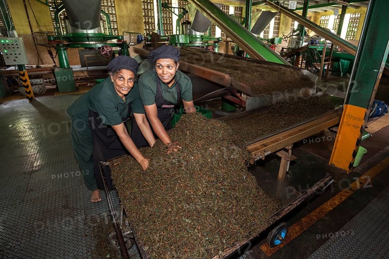 workers