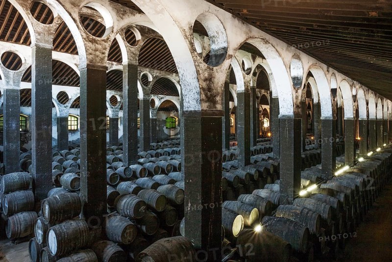 Stacked oak barrels in the wine cellar La Catedral
