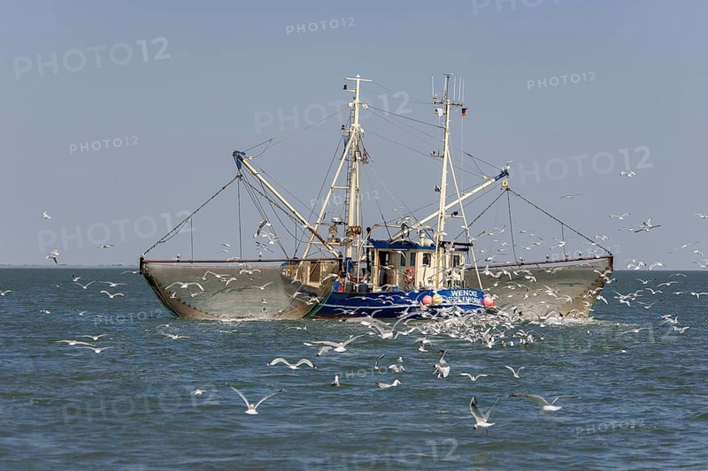 Fishcutter with casted nets at crabs catching