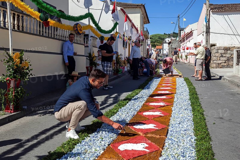 Flower carpet