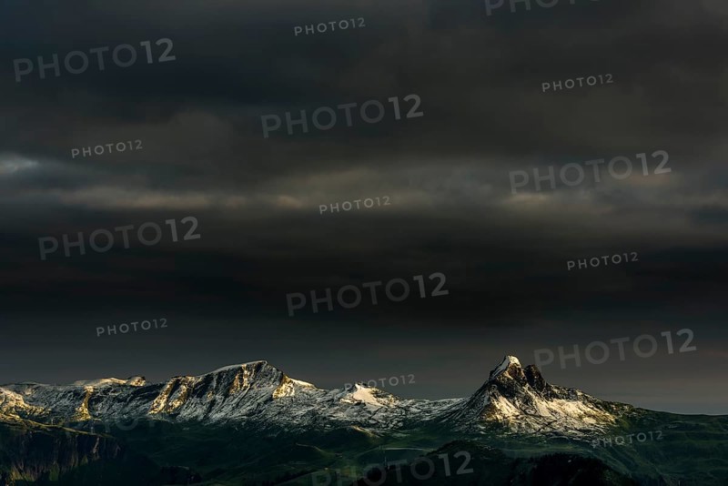 Damulser Horn