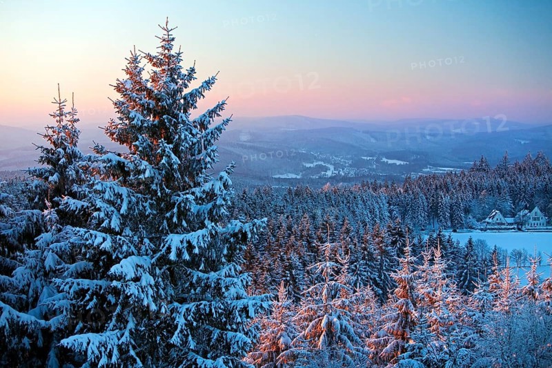 Winter landscape