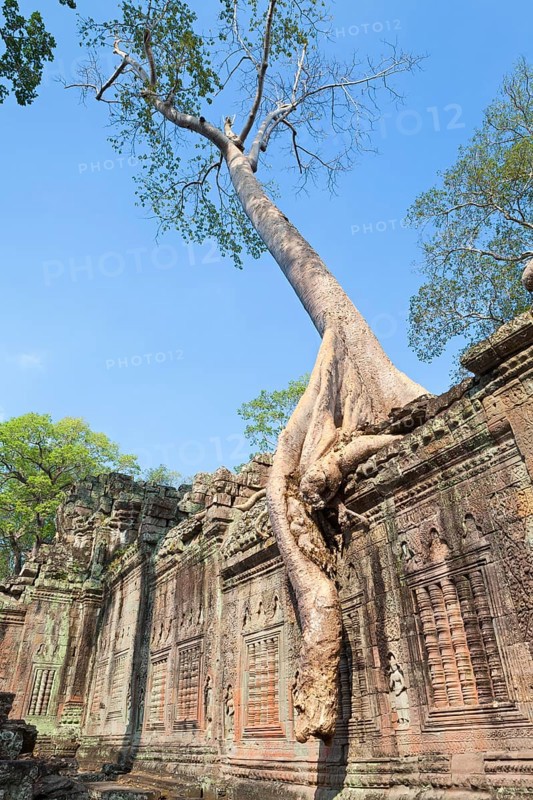 Prasat Preah Khan temple ruins