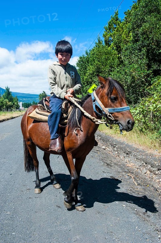 Young boy riding on a horse