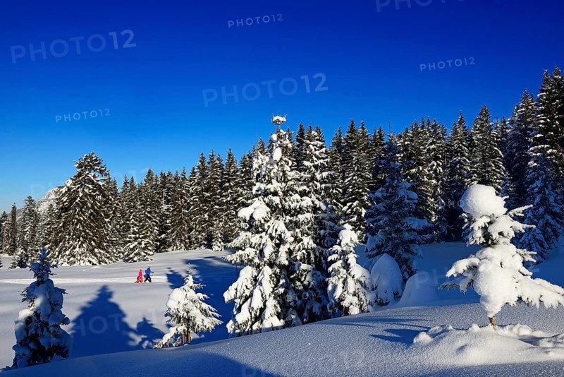 Two hikers walk through snow-covered winter landscape