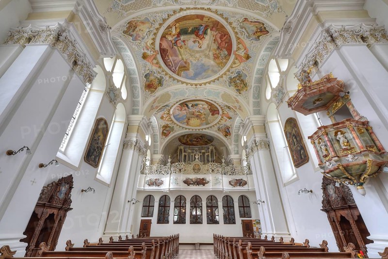 Organ