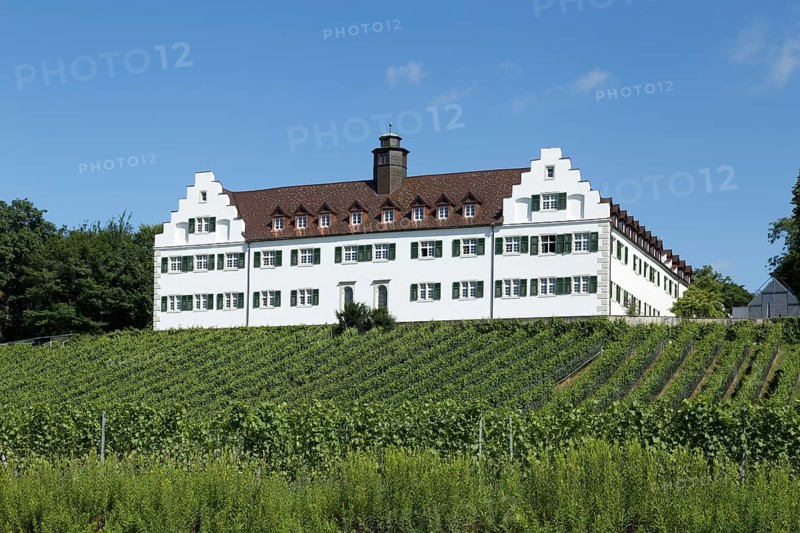 Schloss Hersberg with vineyard