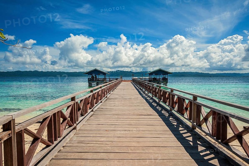 Landing stage