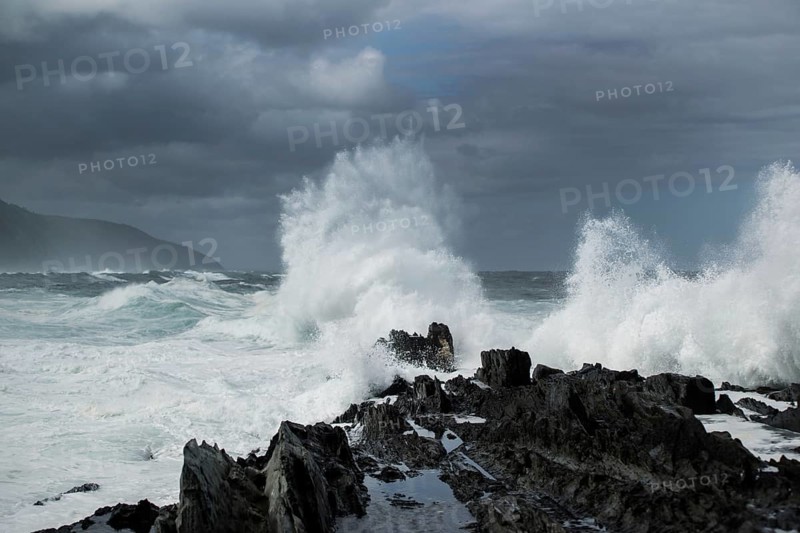 Wave