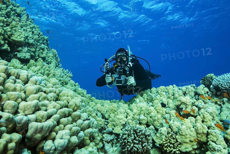 Camera man scuba diver swims near Dome Coral