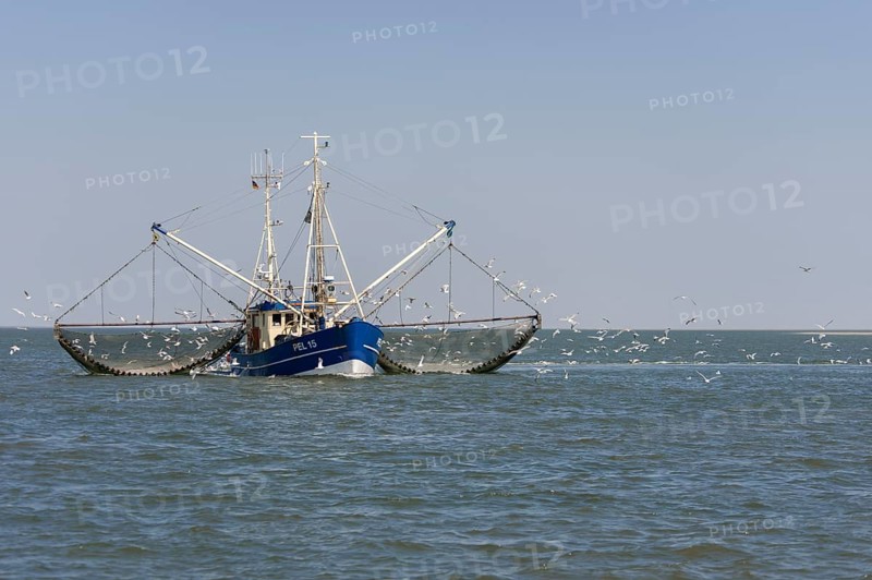 Fishcutter with casted nets at crabs catching