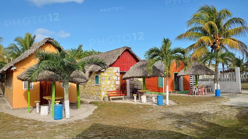 Cabins with palm roof