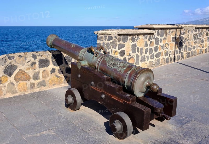 Cannon