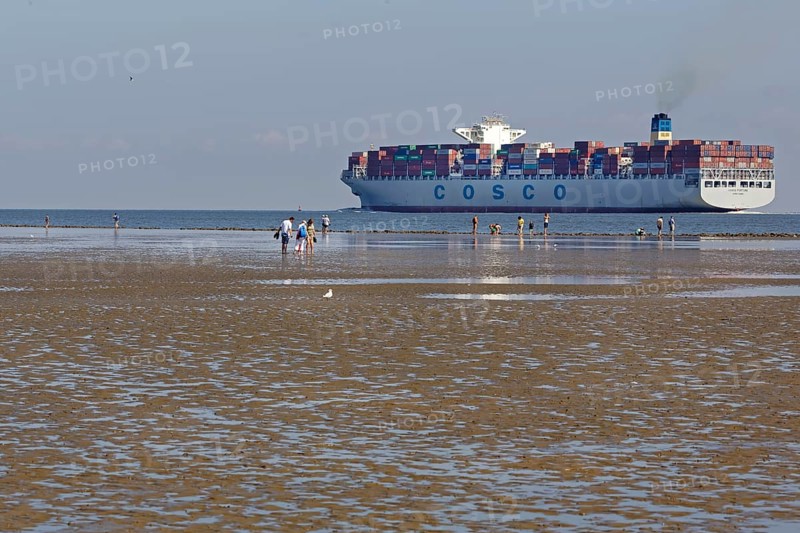 Container ship in the Wadden Sea