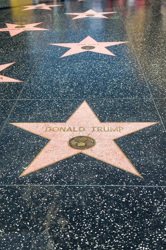 Star Donald Trump on the Walk of Fame