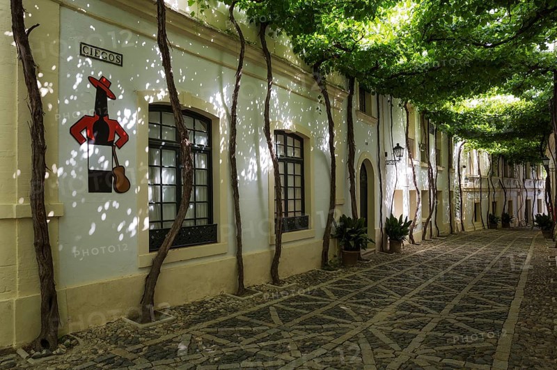 Calle Ciegos with trained vine and the Tio Pepe sherry plaque at the winery Bodega Gonzalez Byass