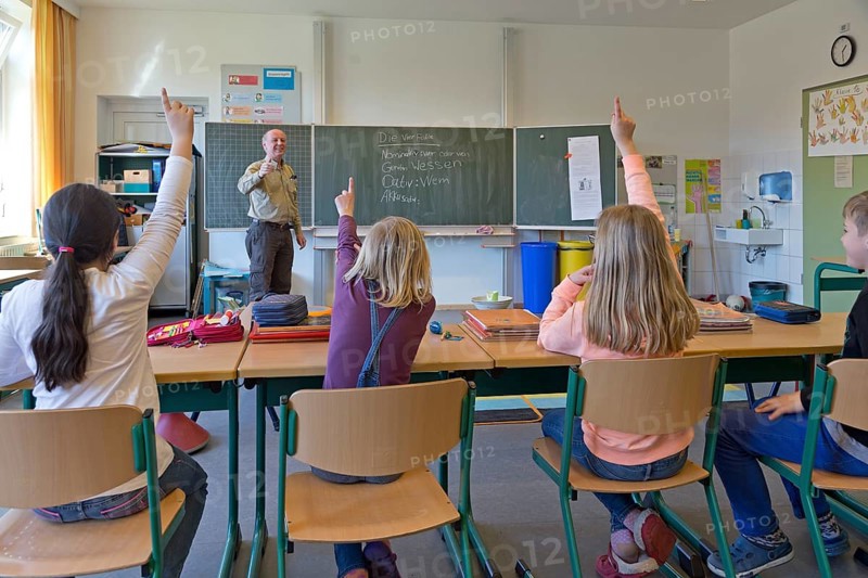 Students in elementary school with raised hands in classroom