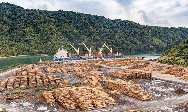 Wood stored in port