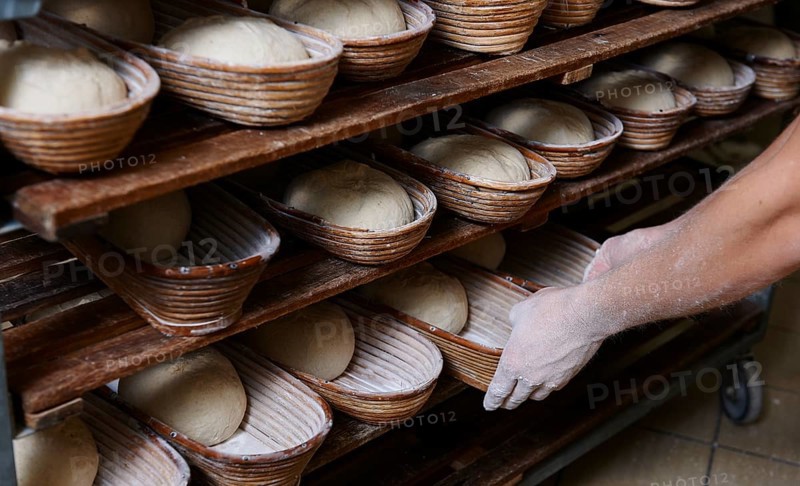 Organic bakery preparing bread loaves in baking baskets