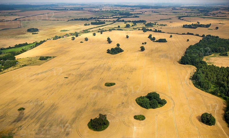 Agricultural landscape