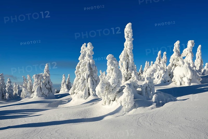 Winter on the Brocken
