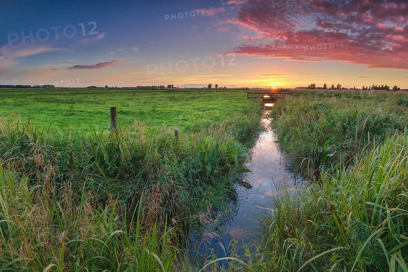 Irrigation ditch