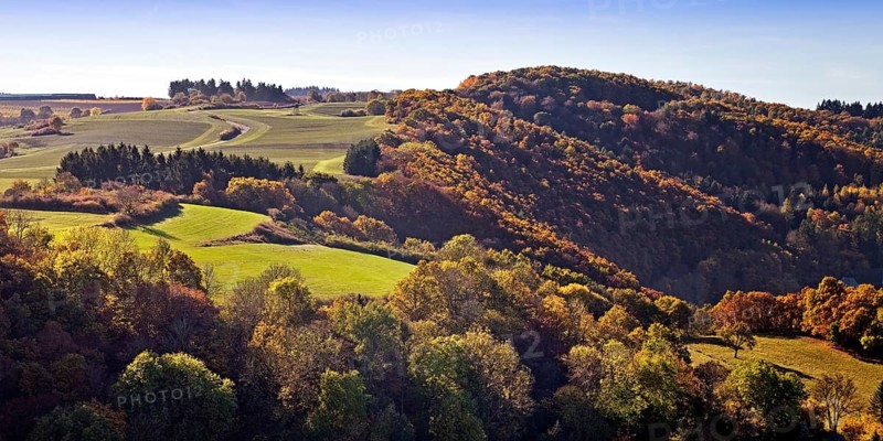 Autumn landscape