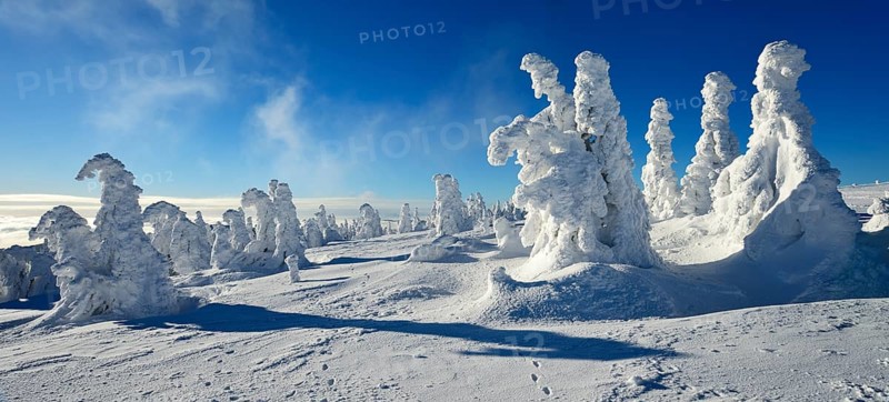 Winter on the Brocken