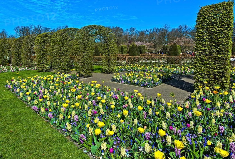 Colorful flower beds