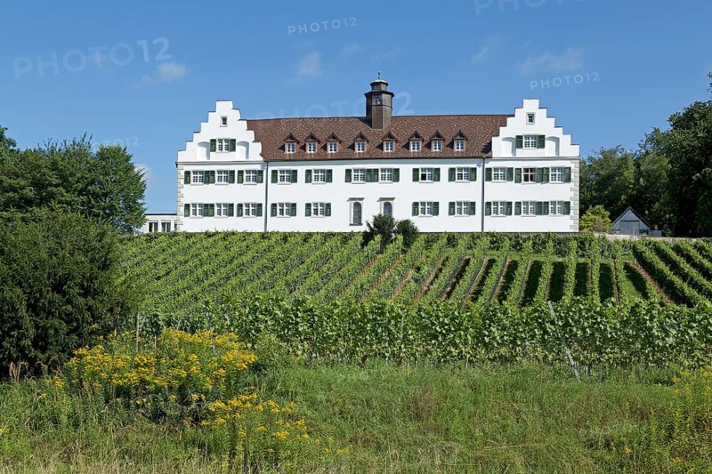 Schloss Hersberg with vineyard