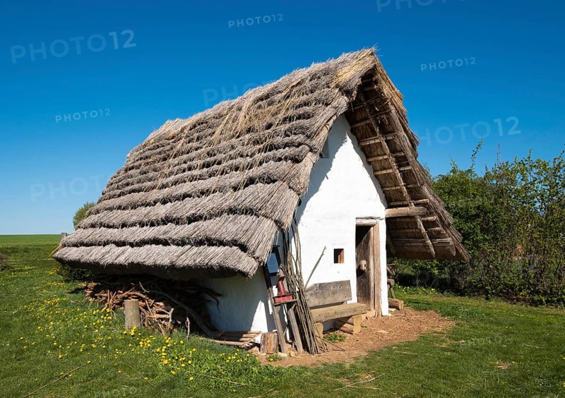 Celtic house