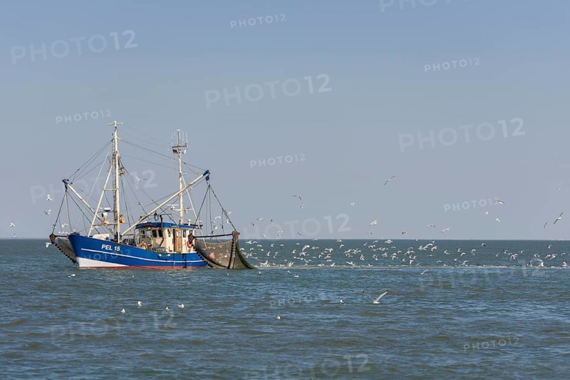 Fishcutter with casted nets at crabs catching